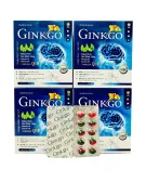 Ginkgo Biloba Extract Coenzym Q10